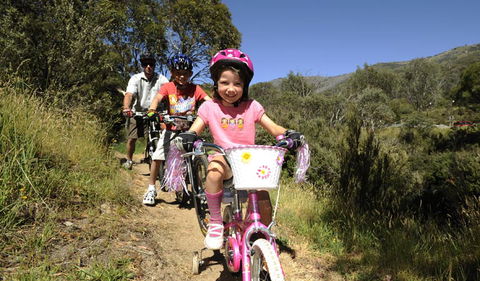 Thredbo Alpine Village - Perths Hotel 2