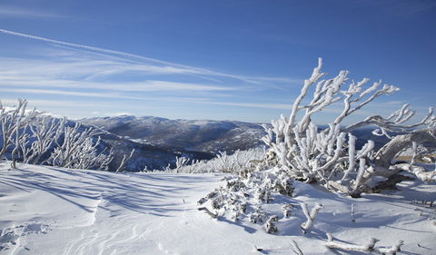 Rock Creek Snowshoe Track - Perths Hotel 0