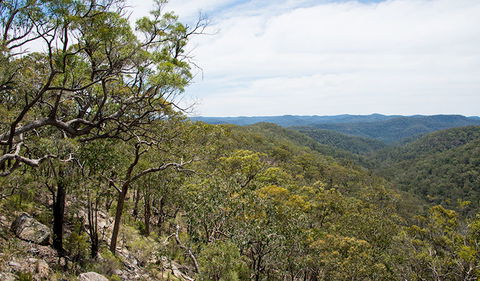Howes Trail - Perths Hotel 2