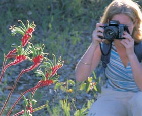 Kalamunda National Park - Perths Hotel 1