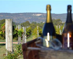 Ugly Duckling Wines - Perths Hotel 1