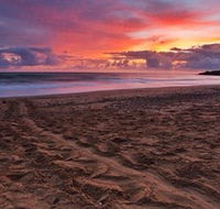 Mon Repos Beach
