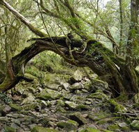 Mitchell River National Park - Perths Hotel