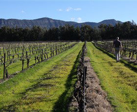 Around Hermitage Wine And Food Trail Hunter Valley - Perths Hotel 1