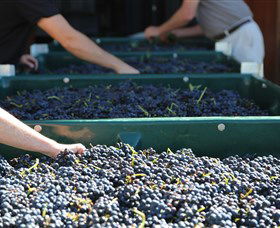 Around Hermitage Wine And Food Trail Hunter Valley - Perths Hotel 6