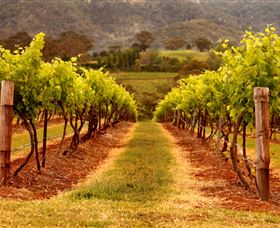 Hunter Valley Wine School - Perths Hotel 1