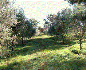 Langdale Farm - Perths Hotel