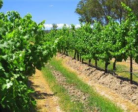 Misty Glen Wines And Cottage - Perths Hotel 1