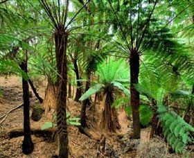 Pegarah Private Nature Reserve & Parenna Place - Perths Hotel 0