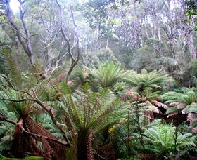 Pegarah Private Nature Reserve & Parenna Place - Perths Hotel 1