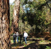 Tallaganda National Park - Perths Hotel
