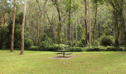 Mill Creek Picnic Area - Perths Hotel 1