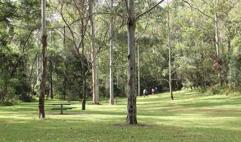 Mill Creek Picnic Area - Perths Hotel 3