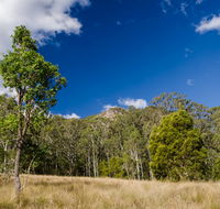 Brush Turkey track - Perths Hotel