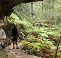 Dharug National Park - Perths Hotel