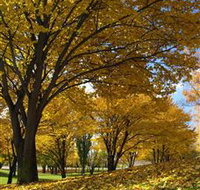 Centennial Park at Cooma - Perths Hotel