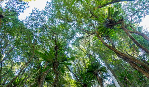 Hidden Treasure Track - Perths Hotel 2