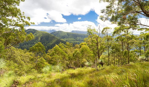 Toonumbar National Park - Perths Hotel 0