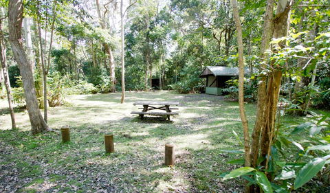 Toonumbar National Park - Perths Hotel 3
