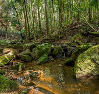 Palm Grove Nature Reserve - Perths Hotel