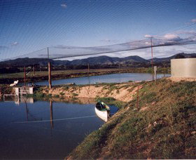 Trudgalong Farm - Perths Hotel 1