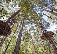 TreeTop Adventure Park Central Coast - Perths Hotel