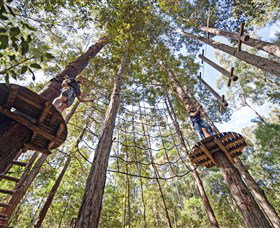 TreeTop Adventure Park Central Coast - Perths Hotel 0