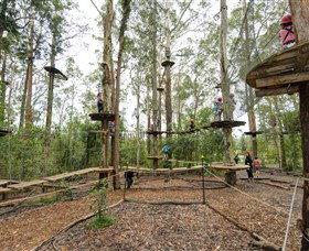 TreeTop Adventure Park Central Coast - Perths Hotel 5