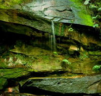 Strickland State Forest - Perths Hotel