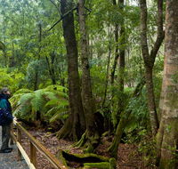 Monga National Park - Perths Hotel