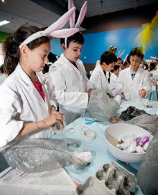 Australian Nuclear Science And Technology Organisation - Perths Hotel 1