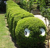 Nutcote - May Gibbs' Home - House Museum - Perths Hotel