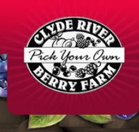 Clyde River Berry Farm - Perths Hotel