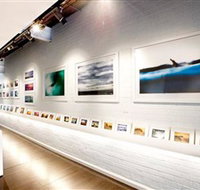 Aquabumps - Perths Hotel