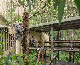 Daisy Hill Koala Centre - Perths Hotel 0