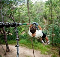 TreeTop Challenge - Perths Hotel