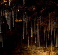 Tamborine Mountain Glow Worm Caves - Perths Hotel