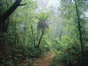 Wagawn - Perths Hotel 0