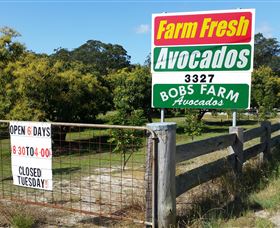 The Avocado Farm - Perths Hotel 3