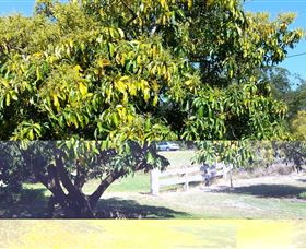 The Avocado Farm - Perths Hotel 2