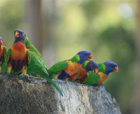 Murrayâ€™s Brewery And Port Stephens Winery - Perths Hotel 3