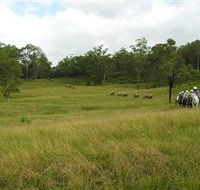 Numinbah Valley Adventure Trails - Perths Hotel