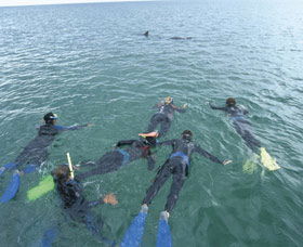 Dolphin Discovery Centre - Perths Hotel 2
