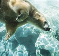 Australia's Sea World - Perths Hotel