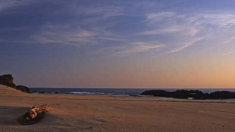 Bongil Bongil National Park - Perths Hotel 2