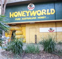Superbee Honeyworld Gold Coast - Perths Hotel