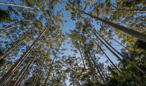 Queens Lake Nature Reserve - Perths Hotel 2
