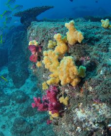 Shag Rock Dive Site - Perths Hotel 0