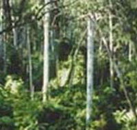 Lind National Park - Perths Hotel