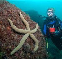 Cook Island Dive Site - Perths Hotel